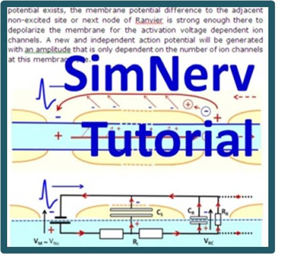 simnervtutorial